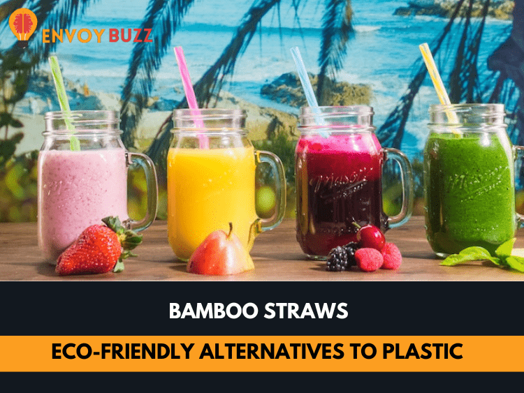 Bamboo Straws Eco-Friendly Alternatives to Plastic