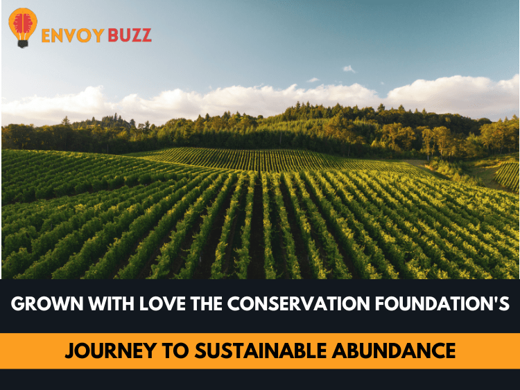 The Conservation Foundation