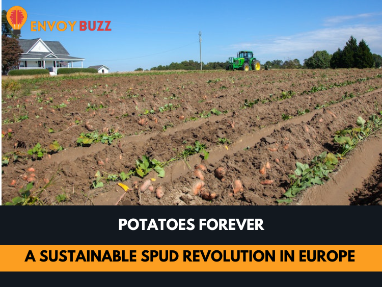 A Sustainable Spud Revolution in Europe