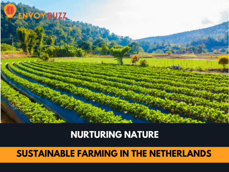 Sustainable Farming in the Netherlands